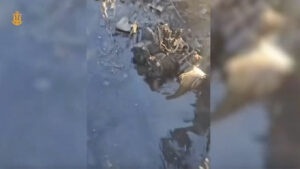 Ukraine Accuses Russia of Attack on Turkish Cargo Ship in Black Sea Amid Rising Tensions